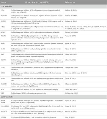 SUMOylation regulation of ribosome biogenesis: Emerging roles for USP36